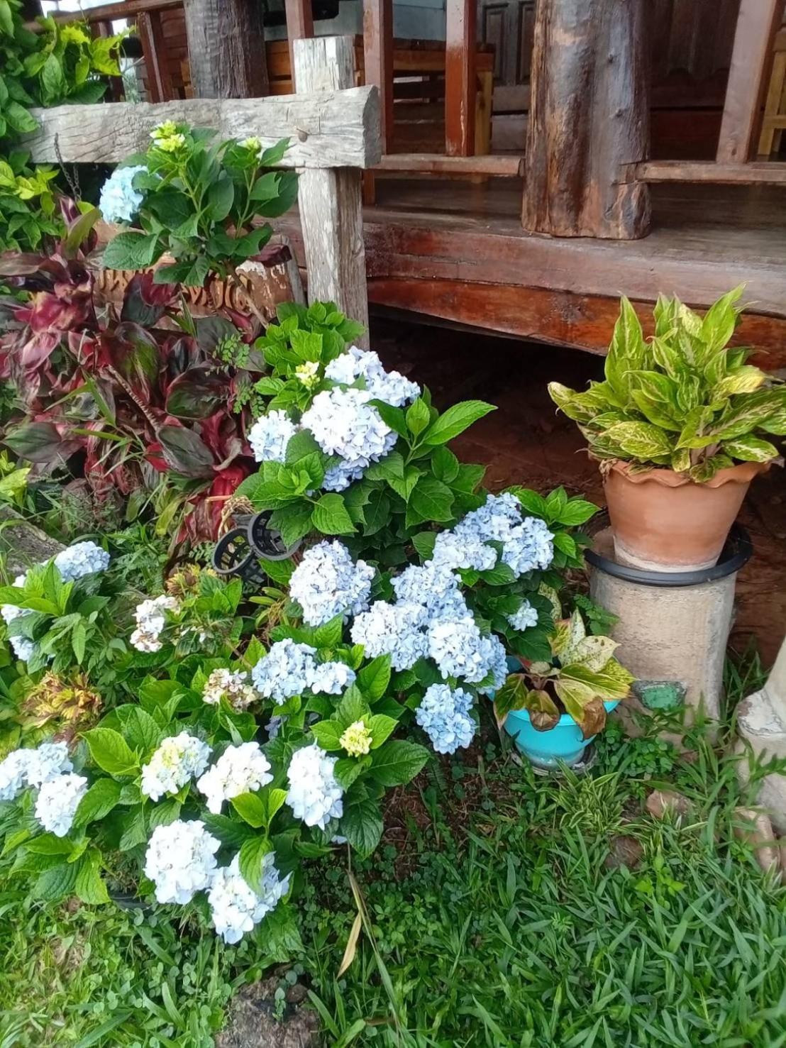 Phu Aram Khao Kho Resort Bagian luar foto
