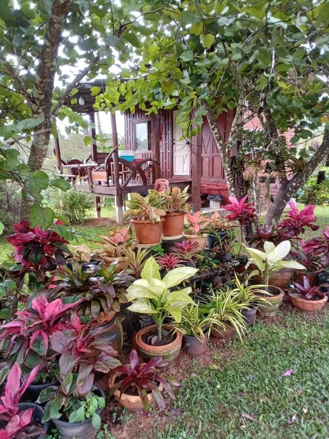 Phu Aram Khao Kho Resort Bagian luar foto